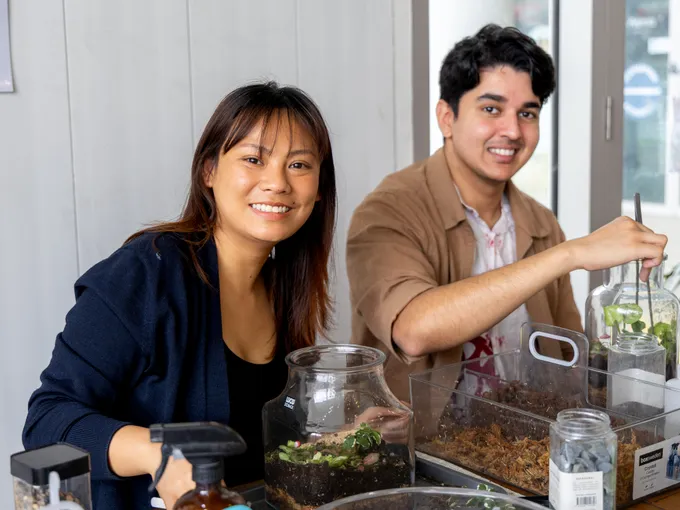 Wentworthville Tropical Terrarium Making Workshop | Experience Oz
