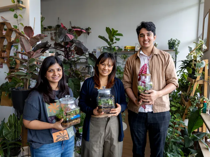 Wentworthville Tropical Terrarium Making Workshop | Experience Oz