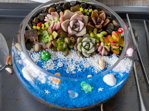 Wentworthville Tropical Terrarium Making Workshop