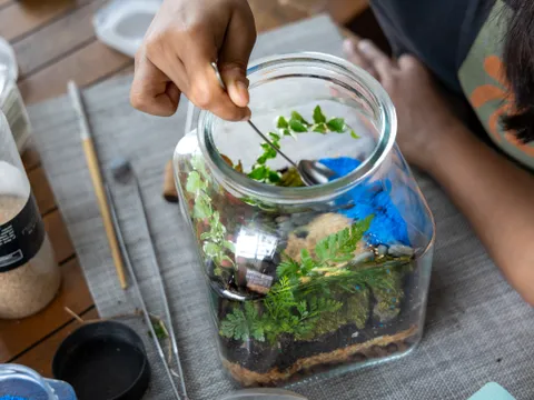 Wentworthville Tropical Terrarium Making Workshop
