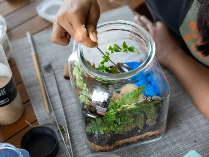 Wentworthville Tropical Terrarium Making Workshop | Experience Oz