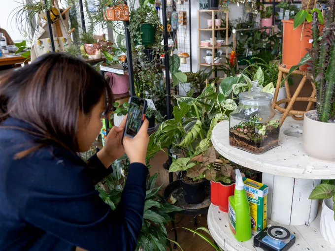 Wentworthville Tropical Terrarium Making Workshop | Experience Oz