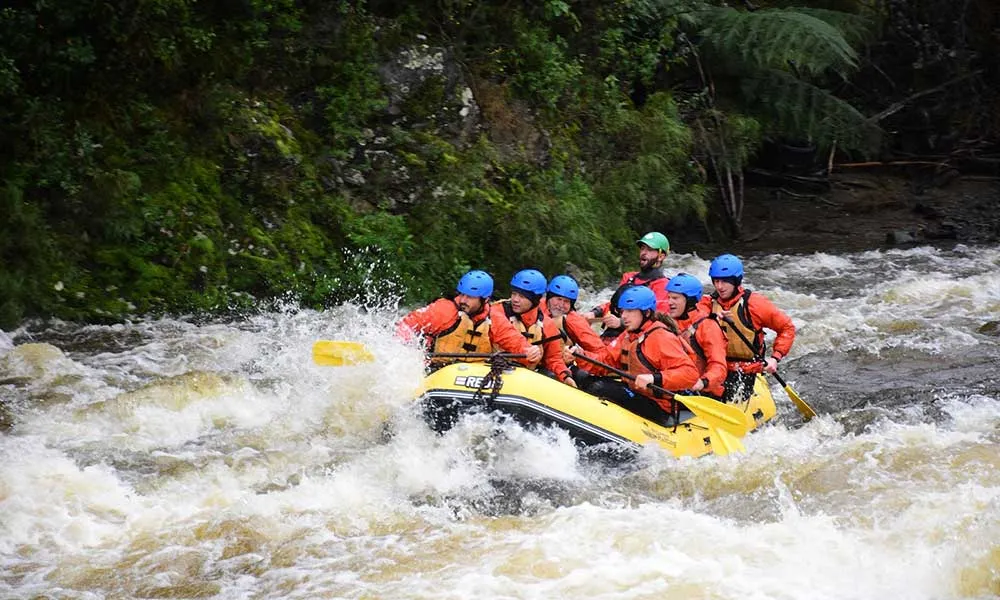 Te Awa Kairangi Scenic Rafting Tour - Grade 2 | Experience Oz-5