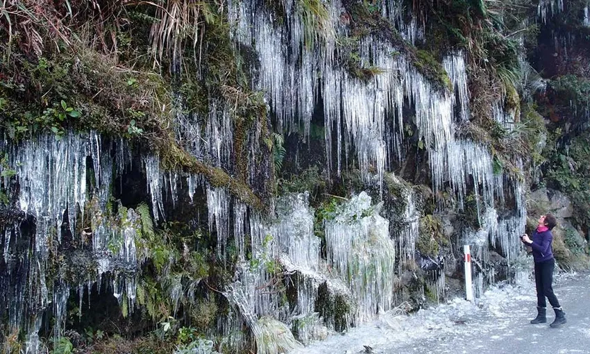 Milford Sound Cruise and Guided Fiordland Walk | Experience Oz