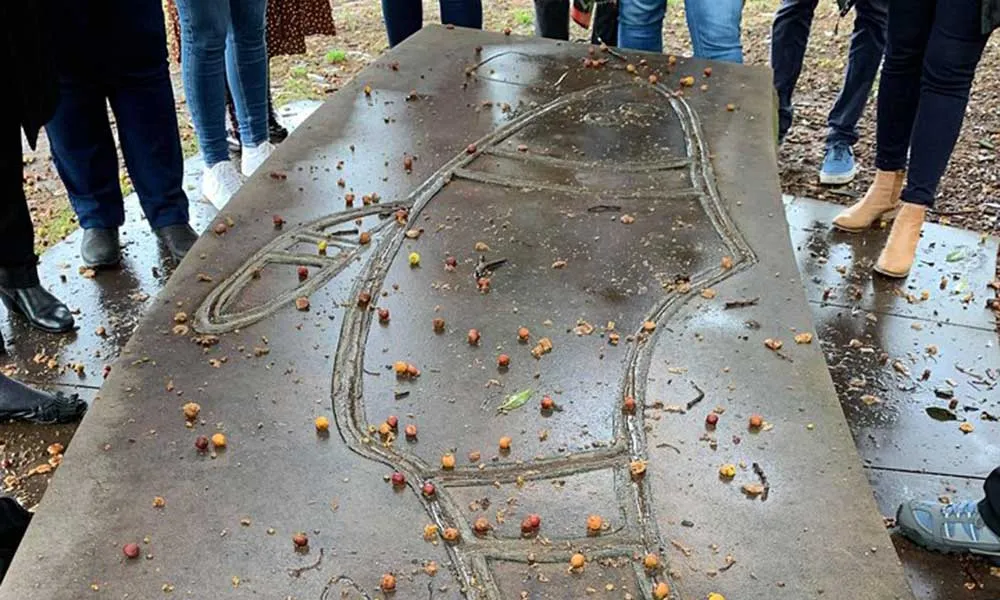 Sydney Aboriginal Heritage Walking Tour - Book Now | Experience Oz-4