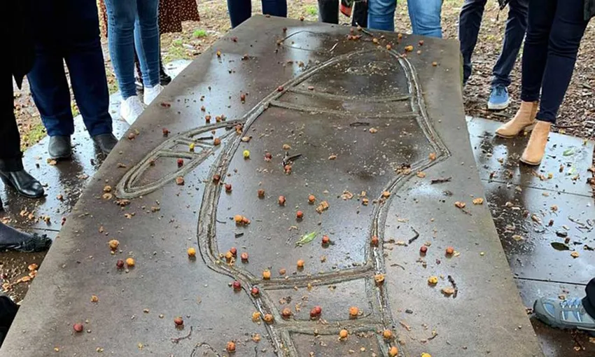 Sydney Aboriginal Heritage Walking Tour - Book Now | Experience Oz