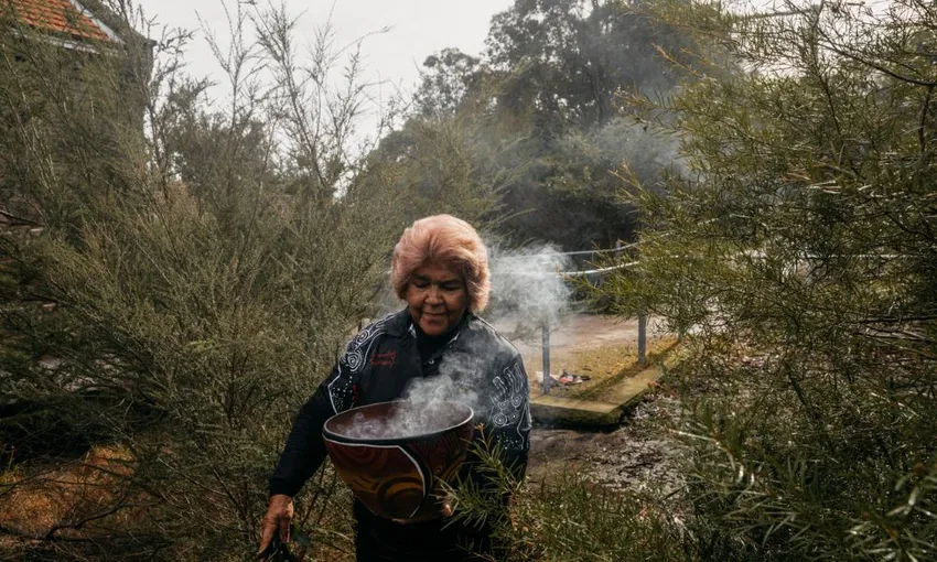 Sydney Aboriginal Heritage Walking Tour - Book Now | Experience Oz