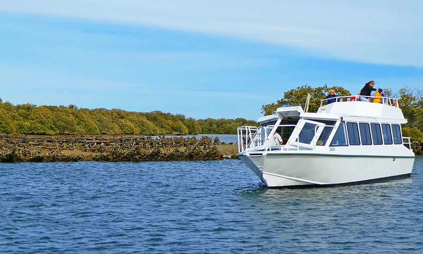 Port Adelaide Dolphin Cruise - Book Now | Experience Oz