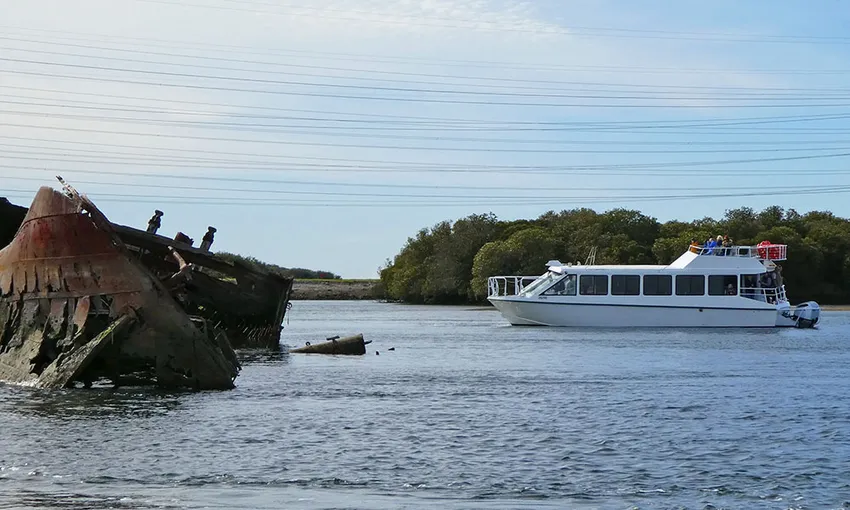 Port Adelaide Dolphin Cruise - Book Now | Experience Oz
