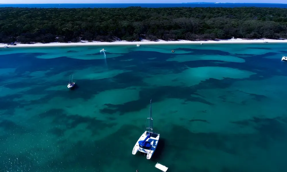 Half Day Moreton Bay Sailing Tour - Book Now | Experience Oz-1