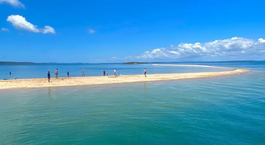 Half Day Moreton Bay Sailing Tour - Book Now | Experience Oz