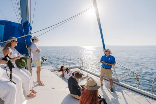 Moreton Bay Sailing Tour