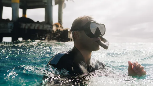 Swim With Dolphins and Seals in the Mornington Peninsula