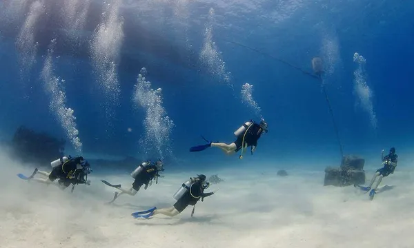 5-Day 2-Night PADI Open Water Course