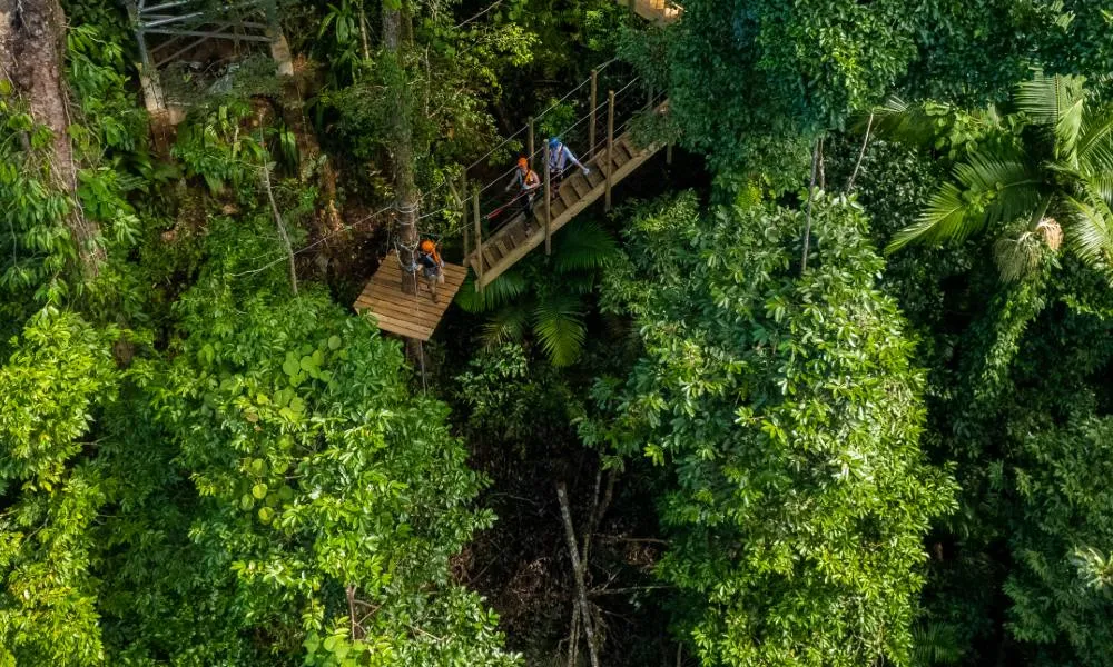 Cape Tribulation Zipline Canopy Tour - 2 Hours | Experience Oz-1