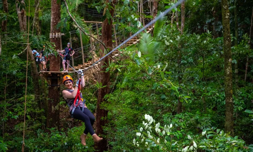 Cape Tribulation Zipline Canopy Tour - 2 Hours | Experience Oz