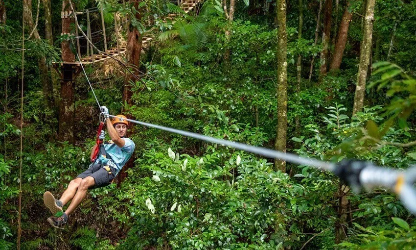 Cape Tribulation Zipline Canopy Tour - 2 Hours | Experience Oz