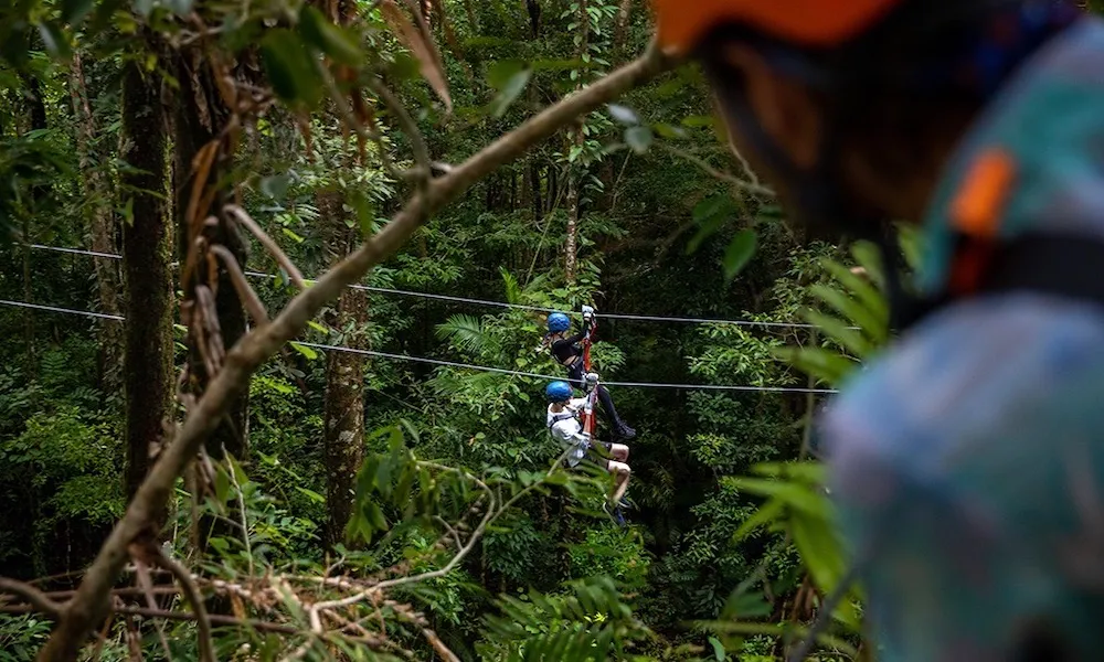 Cape Tribulation Zipline Canopy Tour - 2 Hours | Experience Oz-6