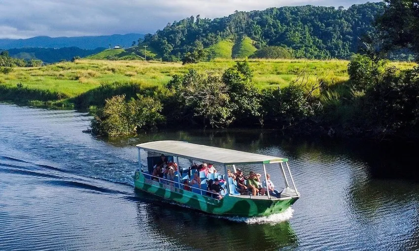 Daintree Rainforest Tour with Ziplining Adventure | Experience Oz