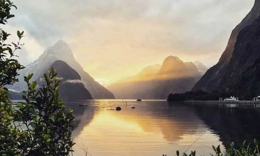 Milford Sound Morning Kayak Tours - Book Now | Experience Oz-2