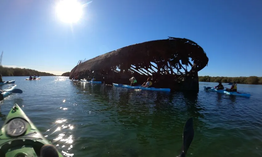 Adelaide Dolphin Sanctuary Kayaking Eco Tour | Experience Oz