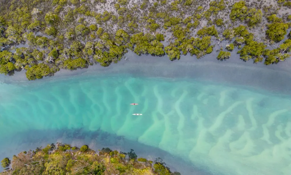 Bermagui River Kayak Tour - 3 Hours | Experience Oz-3