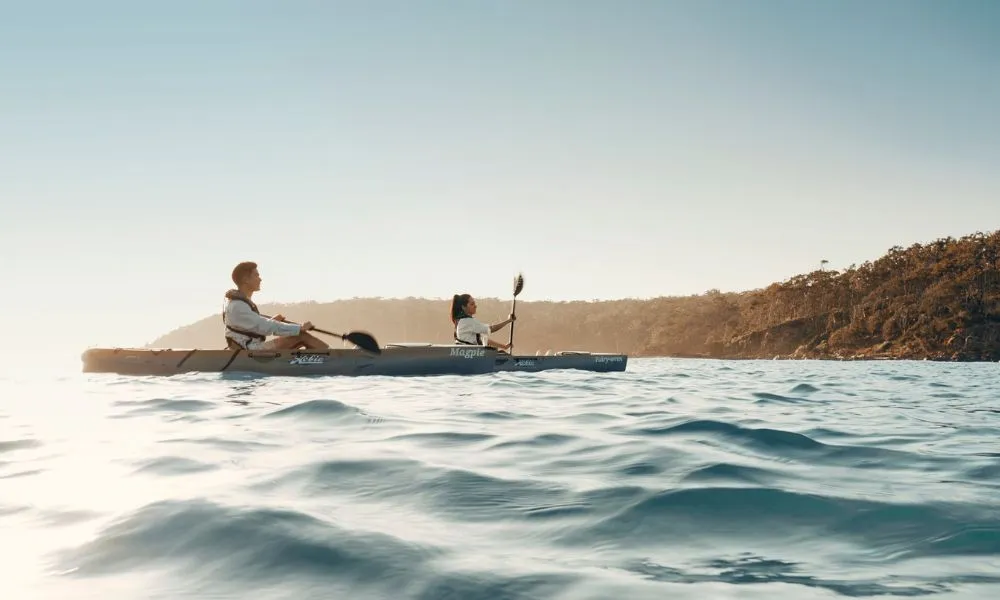 Pambula River Kayak Tour - Book Now | Experience Oz-2