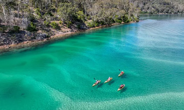 3 Hour Pambula River Kayak Tour 