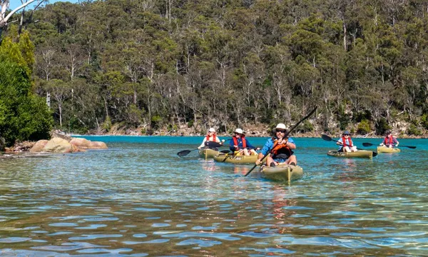 3 Hour Pambula River Kayak Tour 