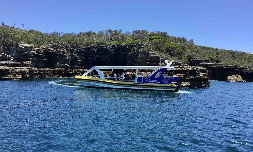 Whale Watching Cruise from Shell Cove - 90 Minutes | Experience Oz