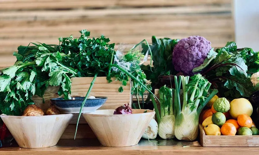 Maggie Beer's Farm Cooking Class and Lunch | Experience Oz