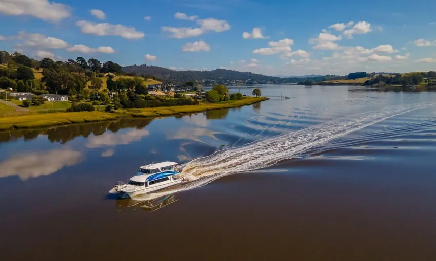 Tamar River Lunch Cruise Launceston Tasmania - Book Now | Experience Oz