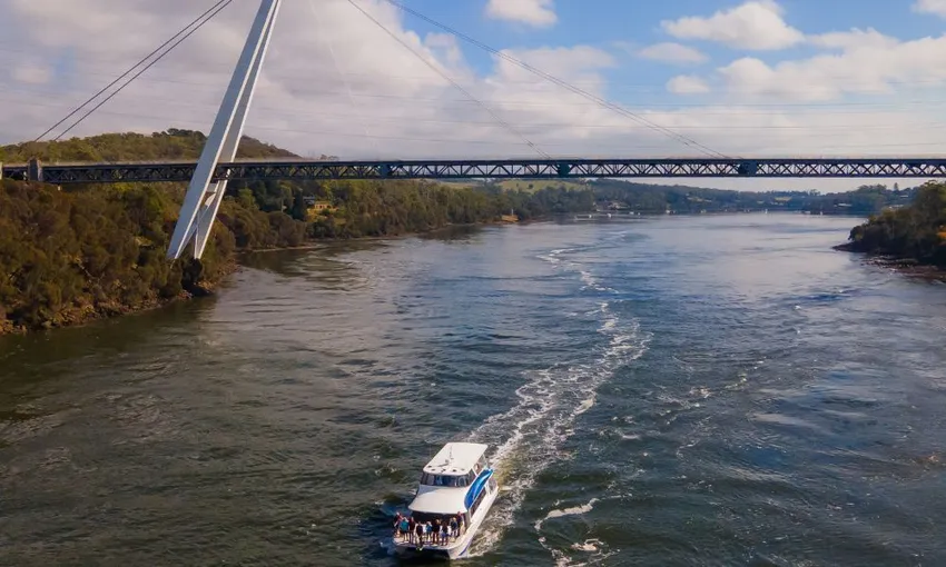 Tamar River Lunch Cruise Launceston Tasmania - Book Now | Experience Oz