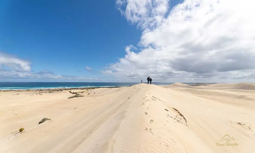Port Lincoln Wildlife, Sightseeing and 4WD Tour with Lunch | Experience Oz