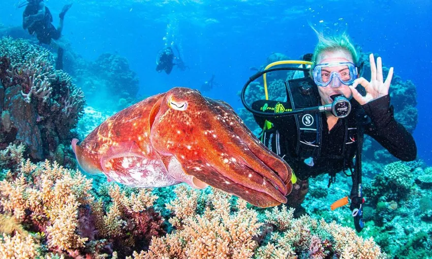 Spirit of Freedom – 3 Day Cod Hole Liveaboard | Experience Oz