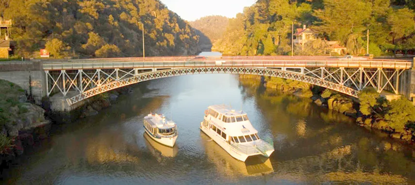 Tamar River Morning or Afternoon Cruise - Book Now | Experience Oz