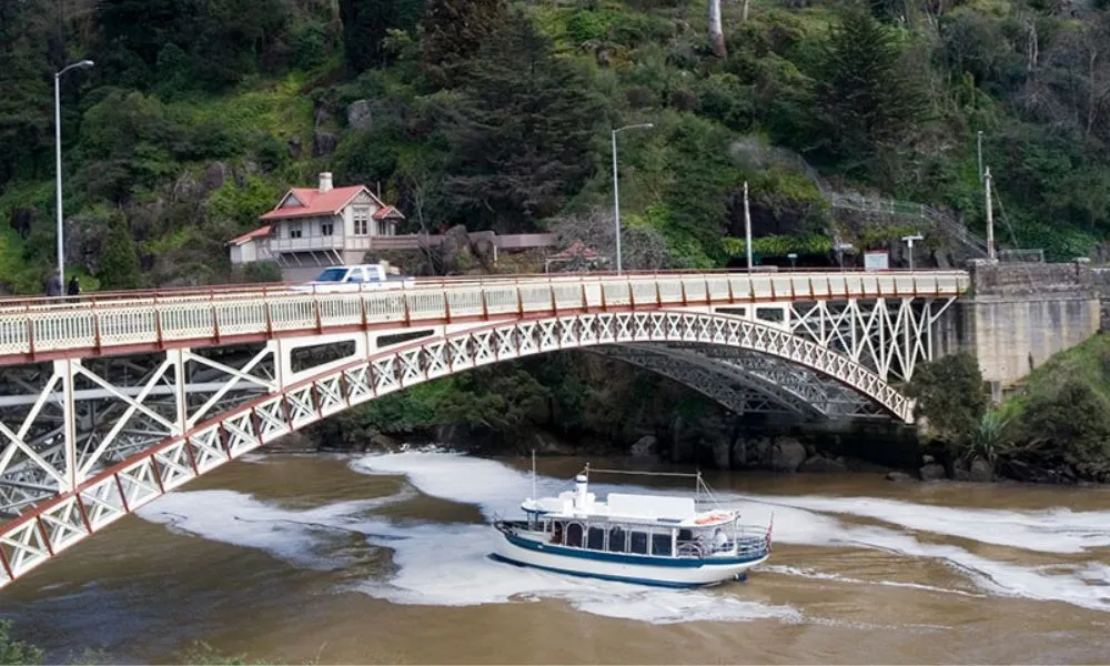 Tamar River Morning or Afternoon Cruise - Book Now | Experience Oz-1