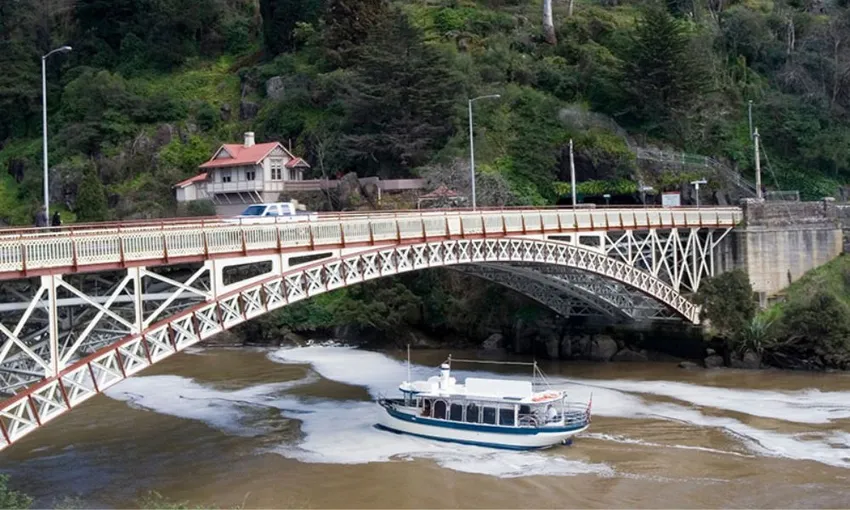 Tamar River Morning or Afternoon Cruise - Book Now | Experience Oz