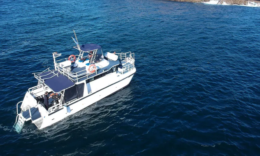 Cook Island Dive Tour - Book Now | Experience Oz + NZ