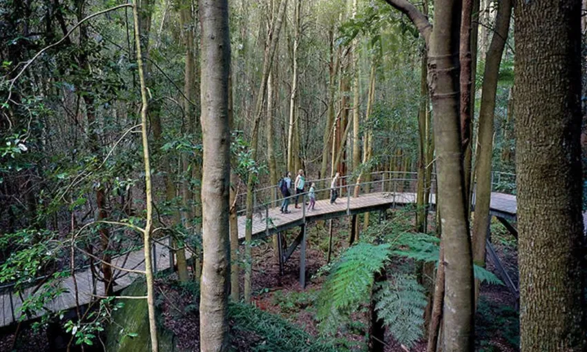 Blue Mountains Scenic World Pass - Book Now | Experience Oz