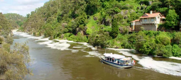 Tamar River and Cataract Gorge Cruise
