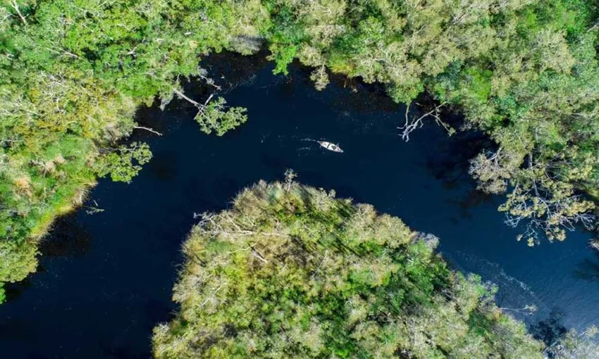 Noosa Everglades Explorer Cruise - Book Now | Experience Oz