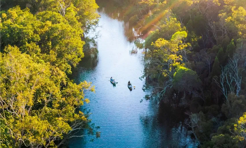 Noosa Everglades Explorer Cruise - Book Now | Experience Oz