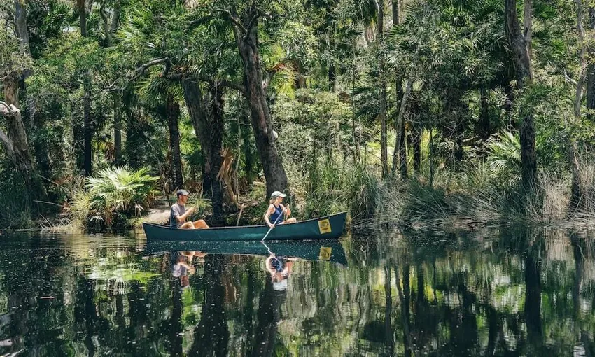 Noosa Everglades Explorer Cruise - Book Now | Experience Oz