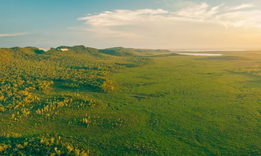 Noosa Everglades Explorer Cruise - Book Now | Experience Oz
