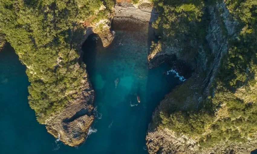 Aldermen Islands Ruamaahu Nature Reserve Scenic Boat Tour | Experience Oz