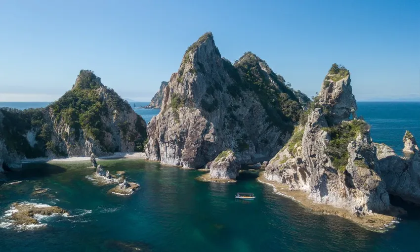 Aldermen Islands Ruamaahu Nature Reserve Scenic Boat Tour | Experience Oz