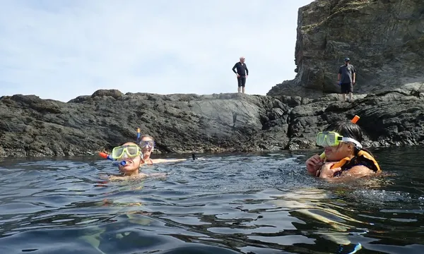 Batemans Bay Kayak & Snorkel Tour - 3 Hours