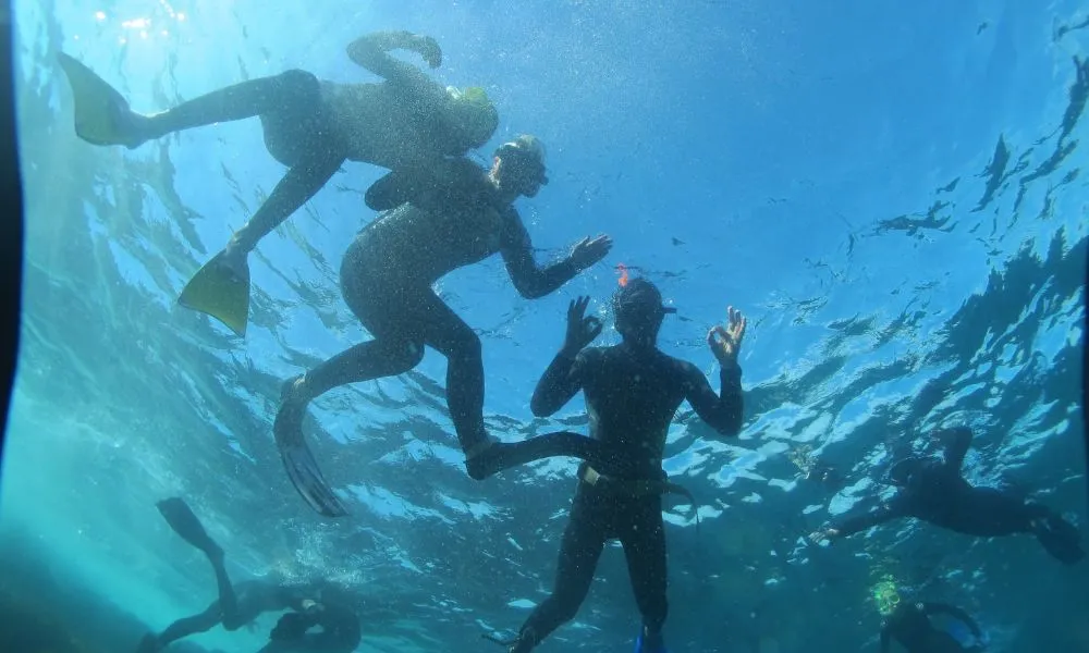 Bateman Bay Kayak & Snorkel Tour - 3 Hours | Experience oz-3