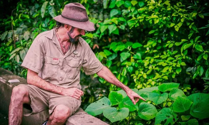 Daintree Rainforest Night Walking Tour | Experience Oz